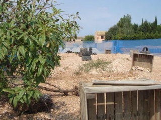 Terreno de juego con vegetación